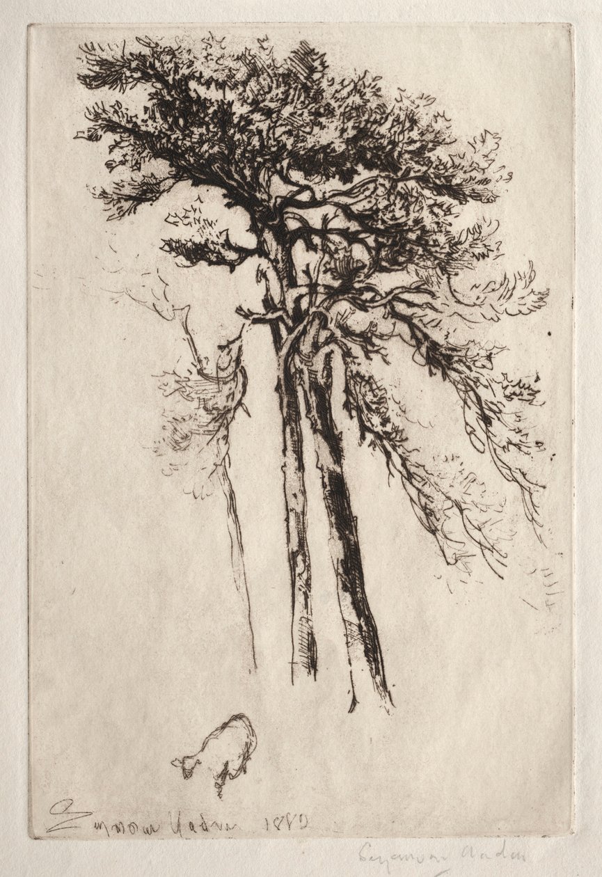 Uusin puu, 1882. tekijältä Francis Seymour Haden