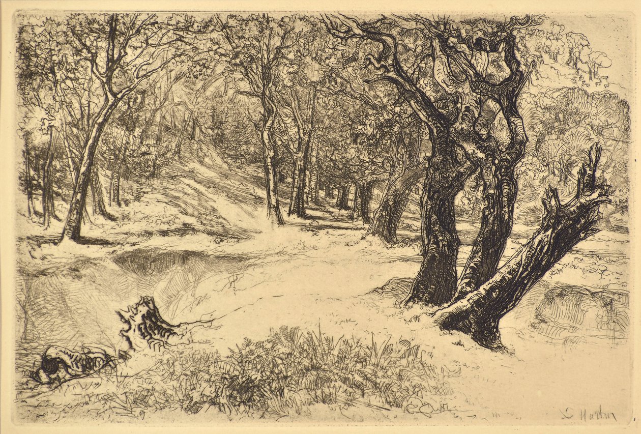 Kolme sisarta tekijältä Francis Seymour Haden