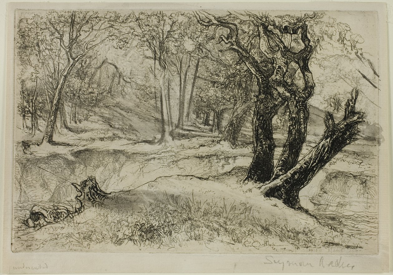 Kolme sisarta tekijältä Francis Seymour Haden