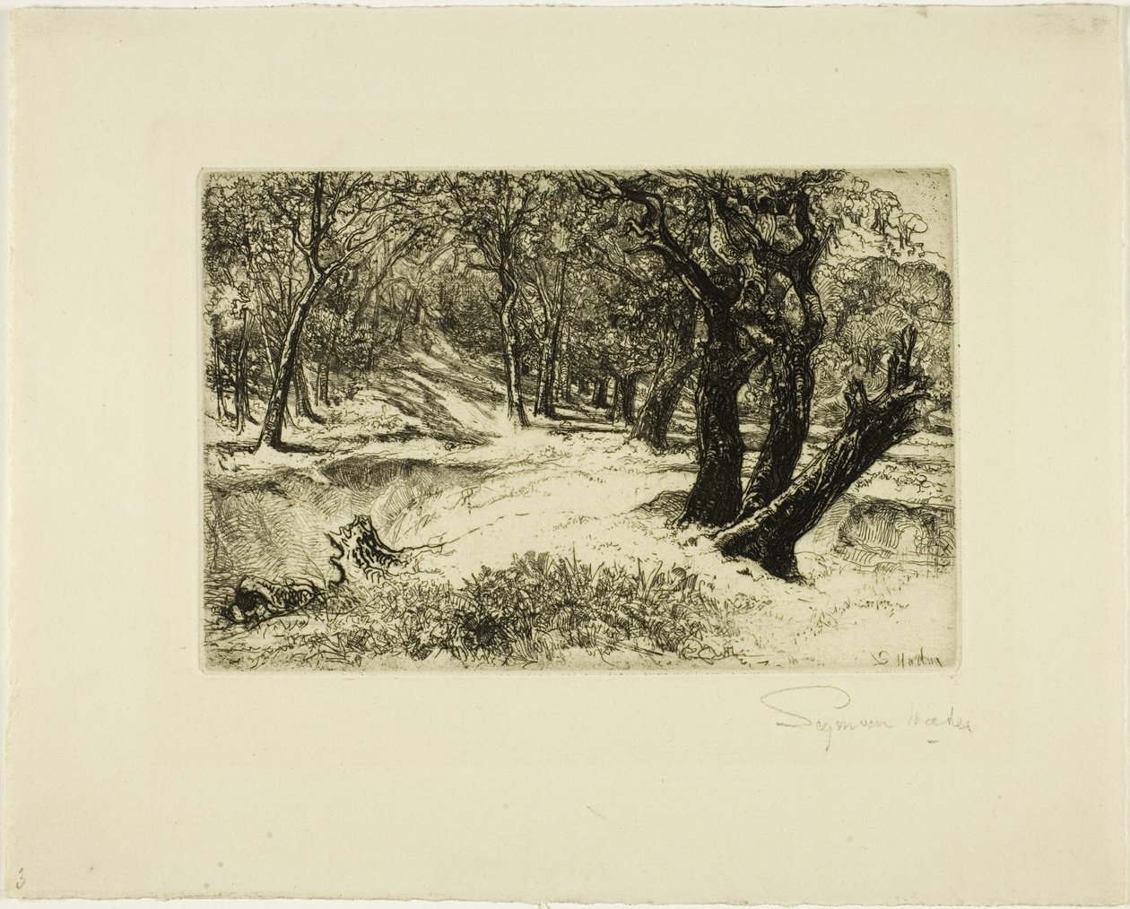 Kolme sisarta tekijältä Francis Seymour Haden