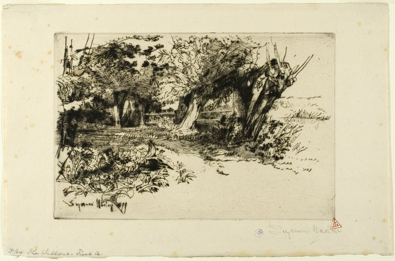 Willows tekijältä Francis Seymour Haden