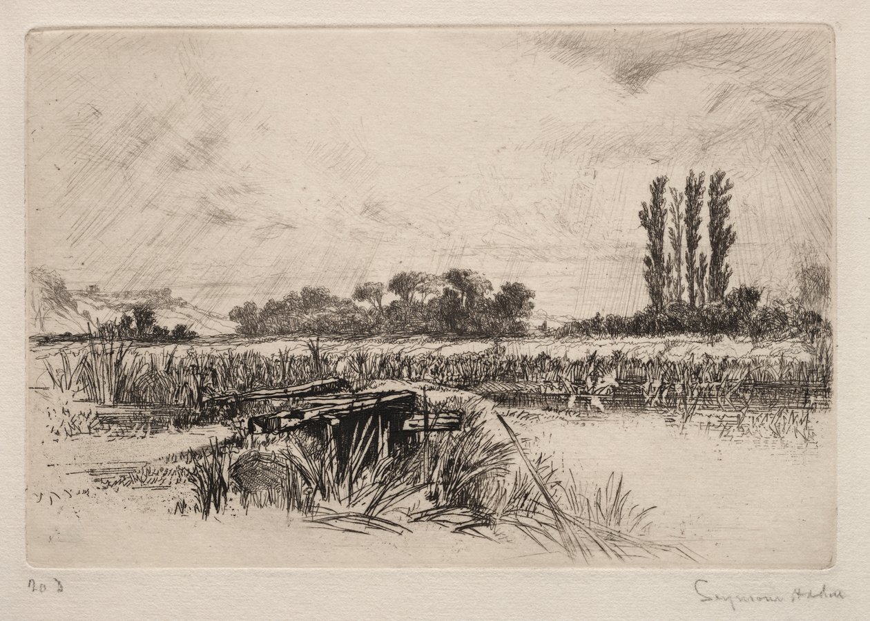 Vesi niitty tekijältä Francis Seymour Haden