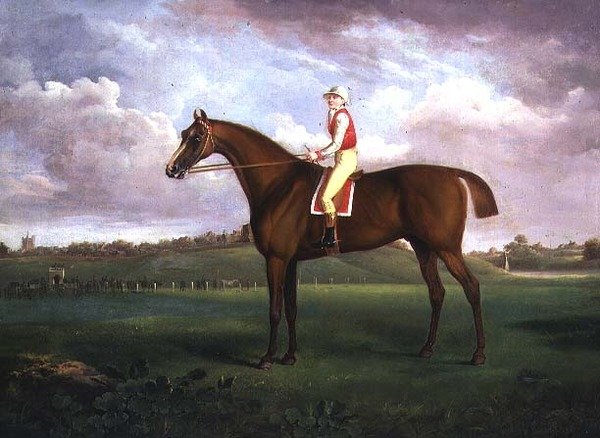 Jockey ylös tekijältä Francis Towne