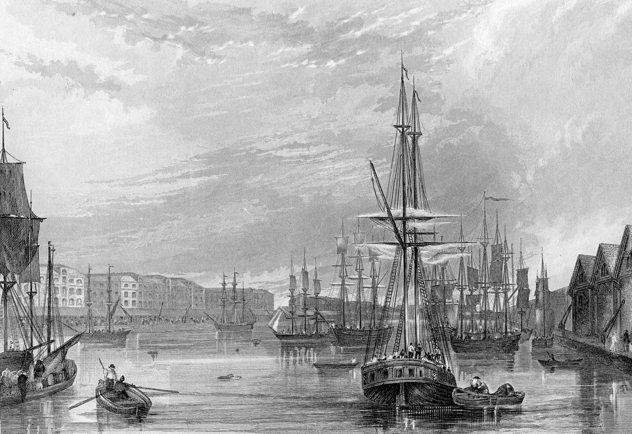 West India Dock, kuvitus John Woodsin teoksesta "History of London: Illustrated by view of London and Westminster", kaiverrettu John Woods, julkaistaan 1838 tekijältä Francis William Topham
