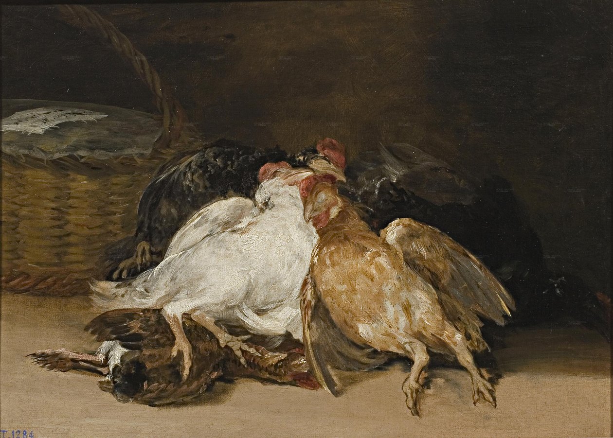 Aves muertas tekijältä Francisco de Goya