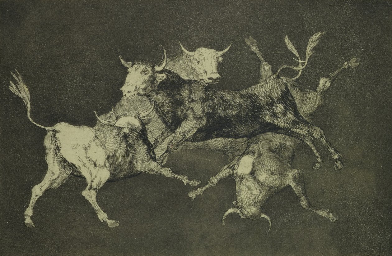 Folly of the Bulls, Follies-sarjasta, n. 1815-24 (etsaus ja akvatinta japanilaiselle paperille) tekijältä Francisco de Goya