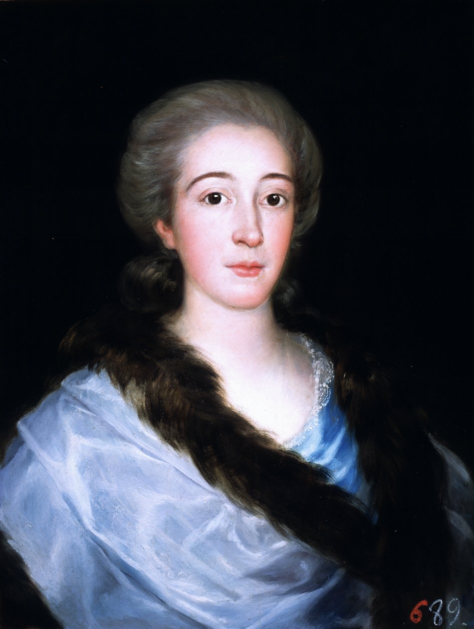 Doña María Teresa de Vallabriga y Rozasin muotokuva tekijältä Francisco de Goya