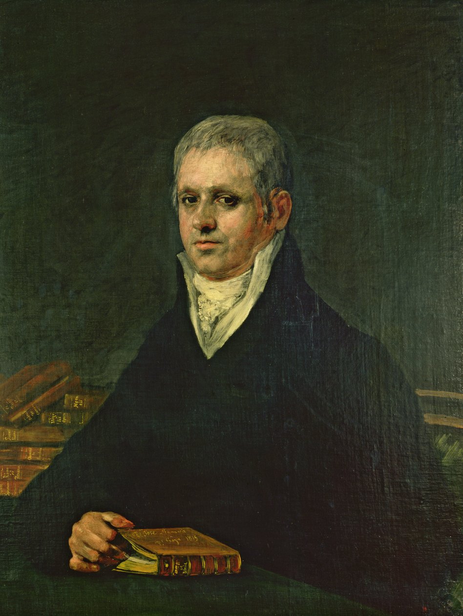 Don Jose Munarrizin muotokuva, 1815 tekijältä Francisco de Goya