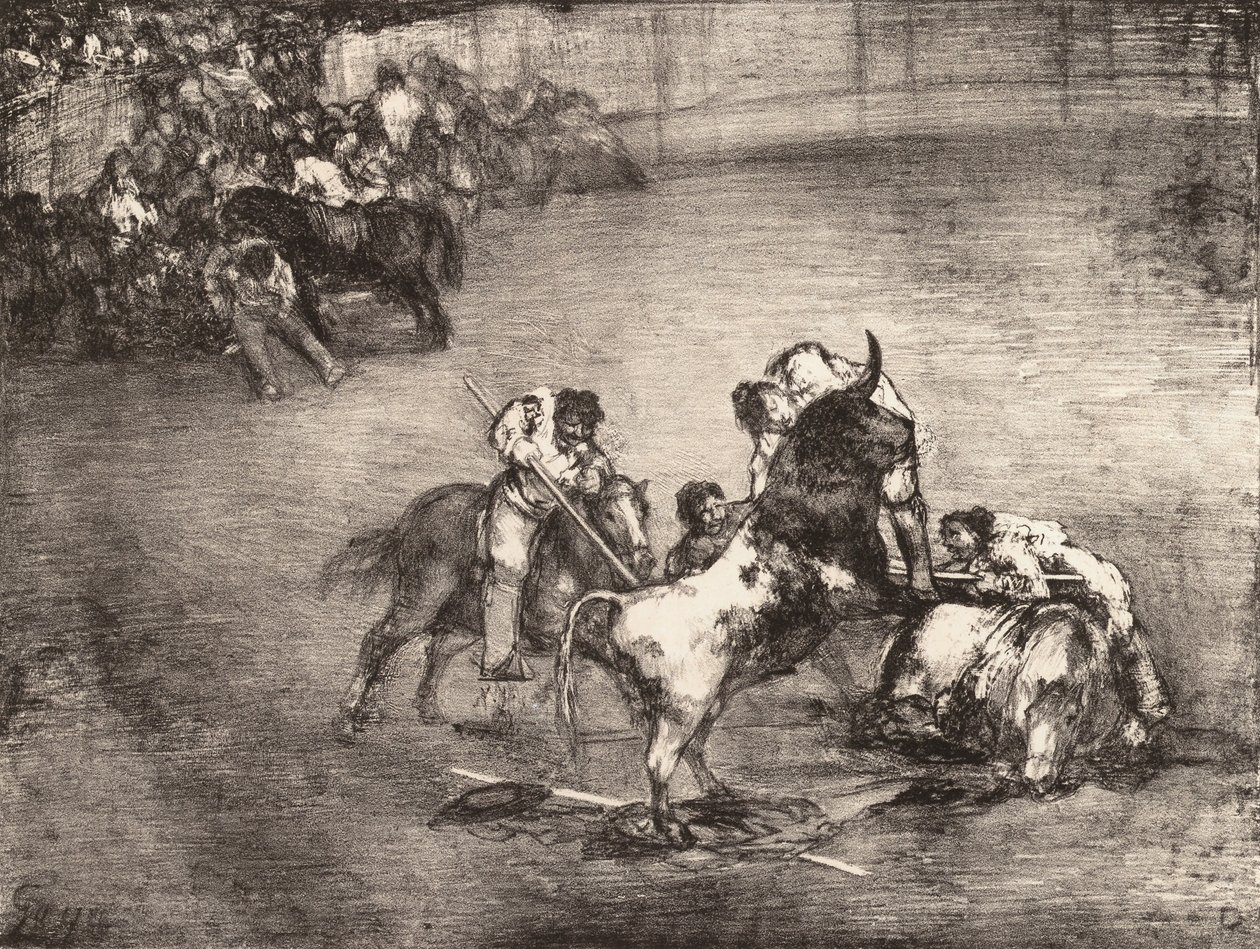 Härän pyytama picador, "Bulls of Bordeaux