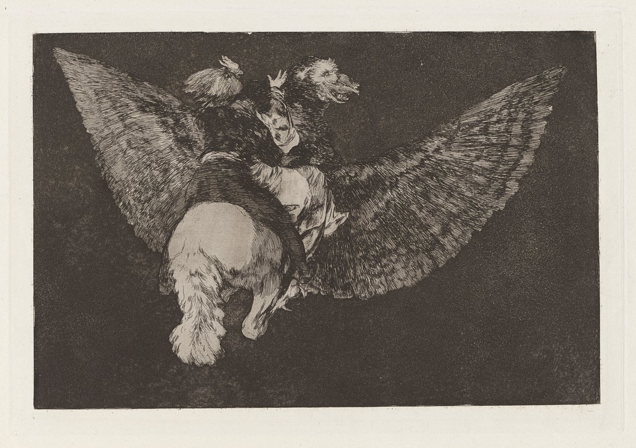 Nonsense flyer (Flying Folly), joka tunnetaan myös nimellä Luopua ystävästä, joka peittää sinut siivillään ja puree sinua nokallaan, sarjasta Los disparates (Los proverbios) tekijältä Francisco de Goya