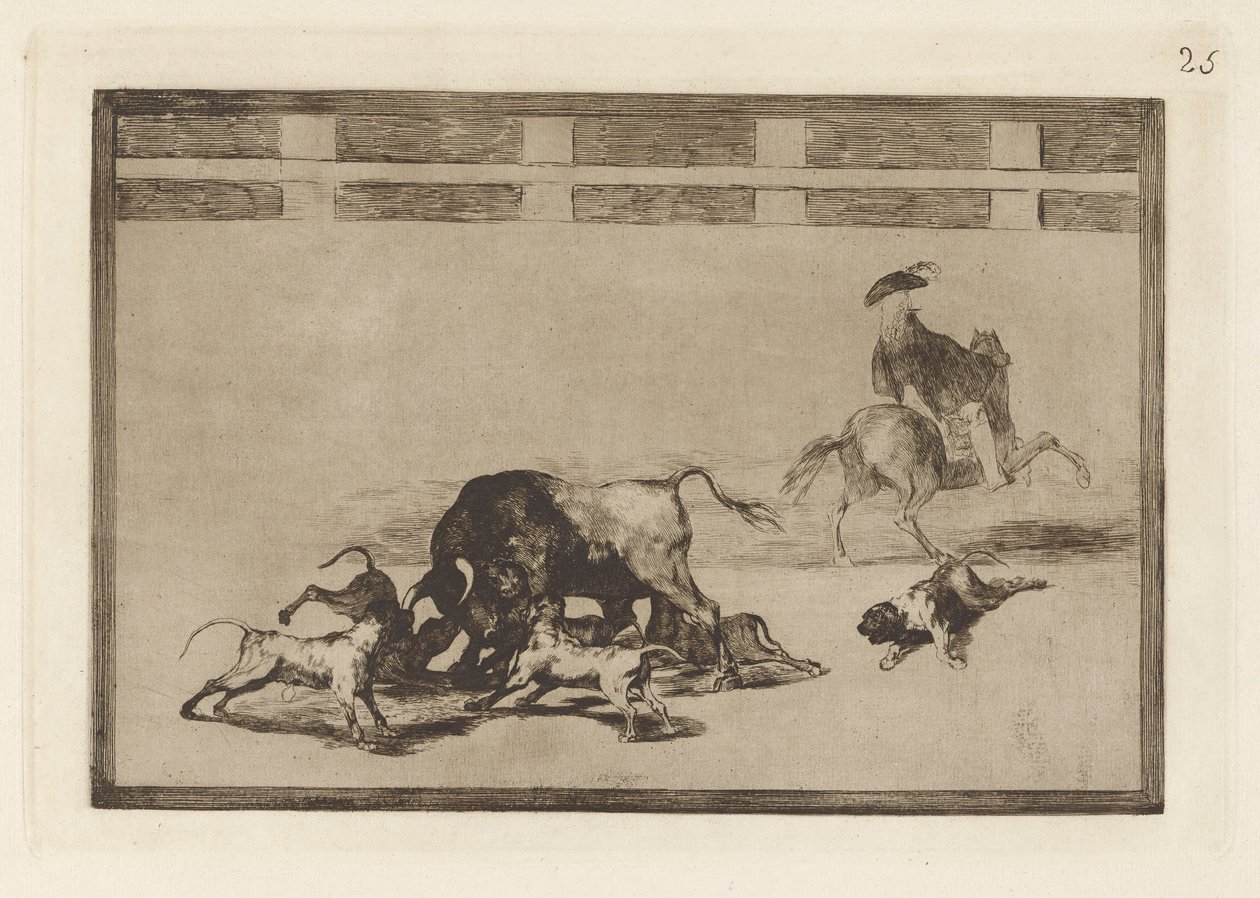 Echan perros al toro (They Loose Dogs on the Bull), levy 25 La tauromaquiasta tekijältä Francisco de Goya