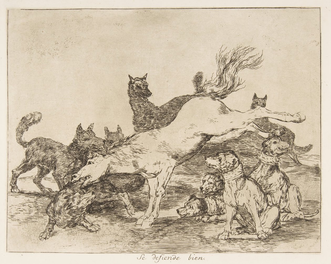 Levy 78 julkaisusta "The Disasters of War" Los Desastres de la Guerra..., vuosien 1814-15 jälkeen julkaistu 1863. tekijältä Francisco de Goya
