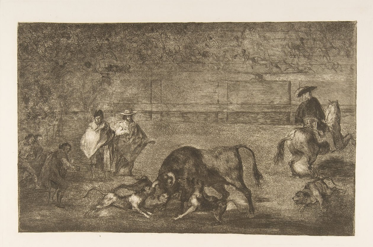 Levy C: Koirat päästivät irti härästä., n. 1816. tekijältä Francisco de Goya