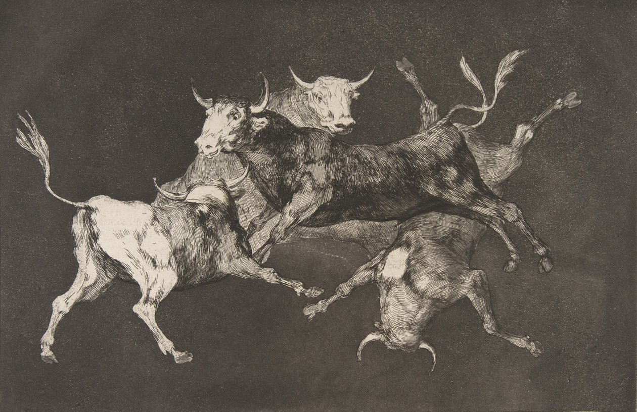 Levy D Disparatesista: Fools-or Little Bulls - fo..., ca. 1816-23 julkaistu ennen vuotta 1877. tekijältä Francisco de Goya