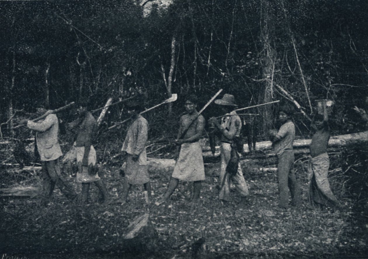 Guarany-intiaanit, palaavat Caþadalta, 1895 tekijältä Francisco Henszler
