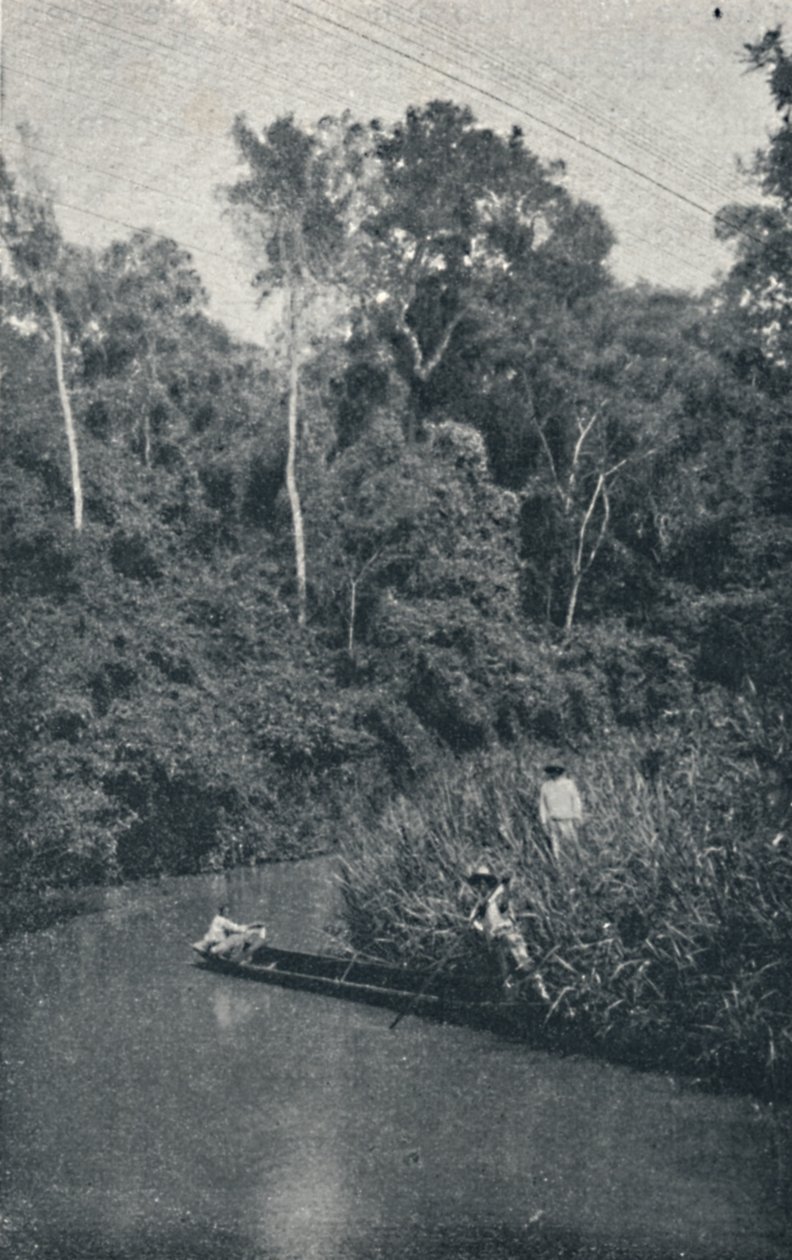 S. Anastacio River, 1895 tekijältä Francisco Henszler