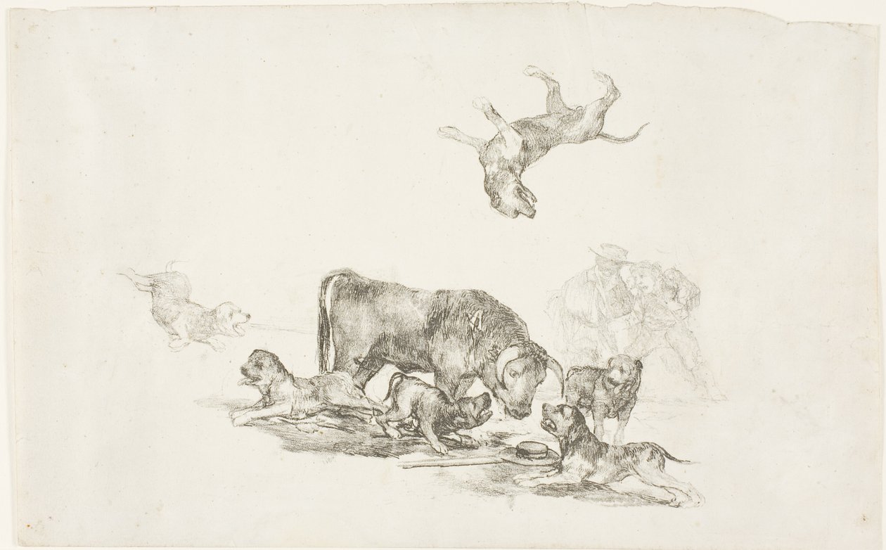 Koirien hyökkäämä härkä tekijältä Francisco Jose de Goya y Lucientes