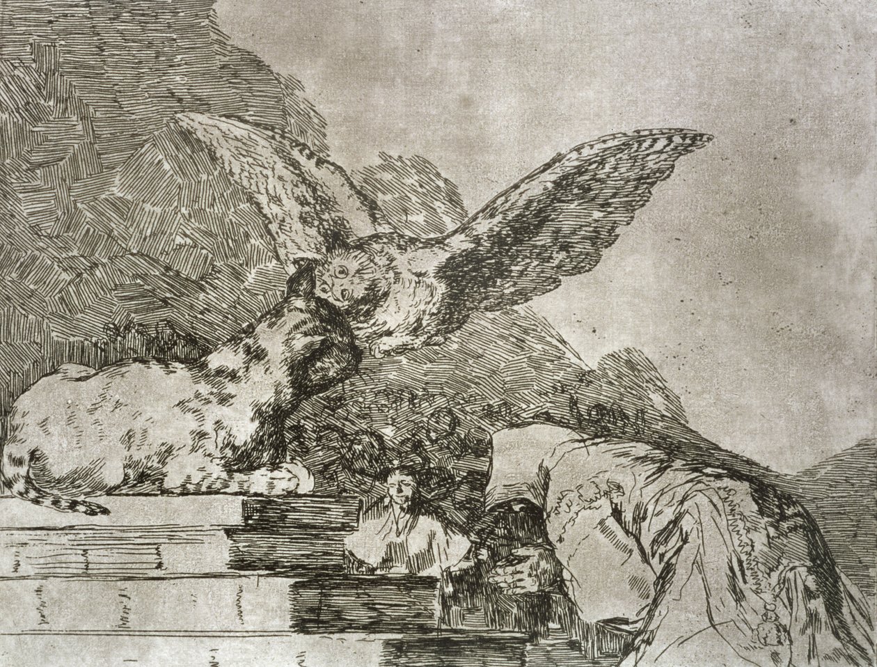 Kissan pantomiimi, The Disasters of Warin levy 73 tekijältä Francisco Jose de Goya y Lucientes