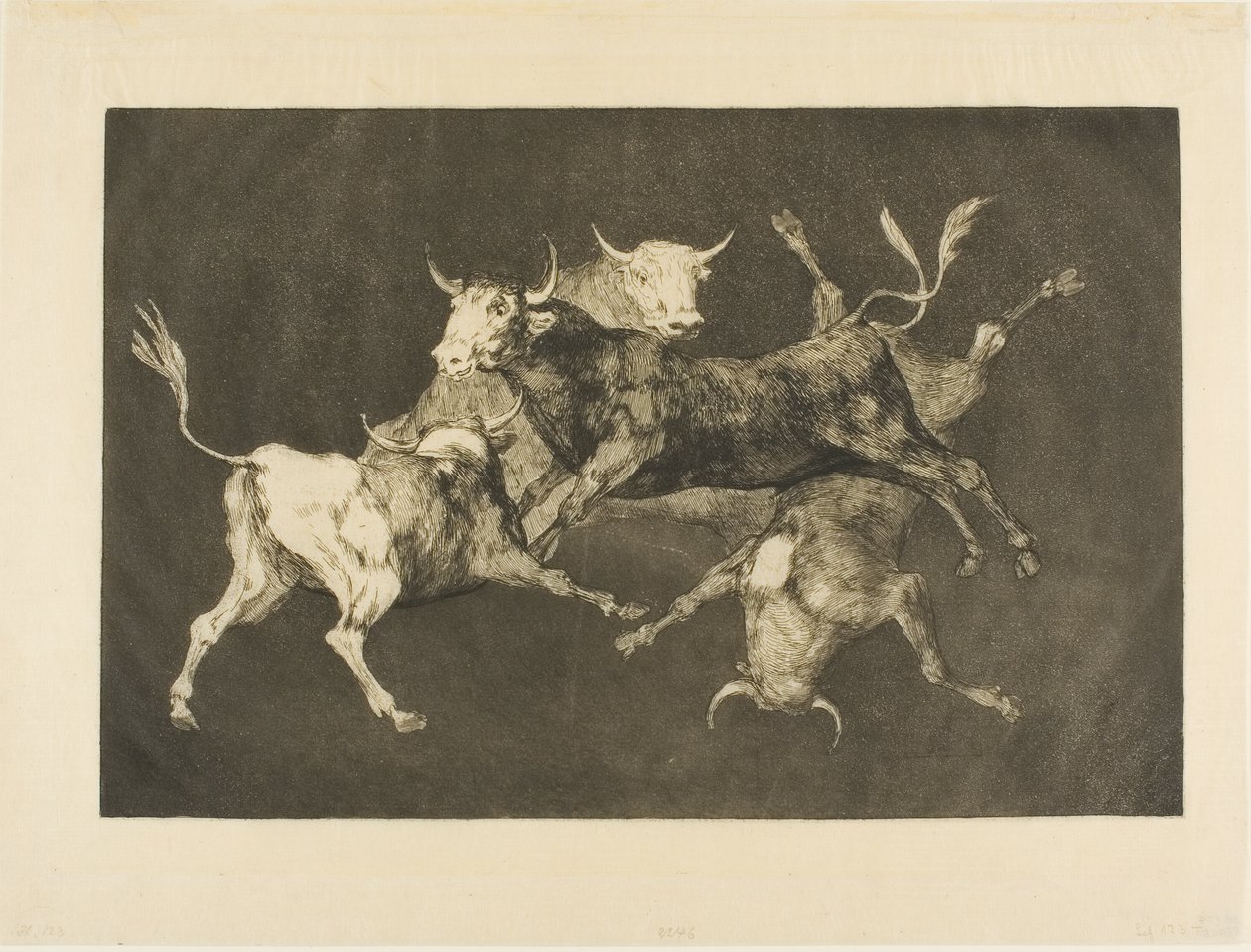 Fool’s Folly, Disparatesista tekijältä Francisco Jose de Goya y Lucientes