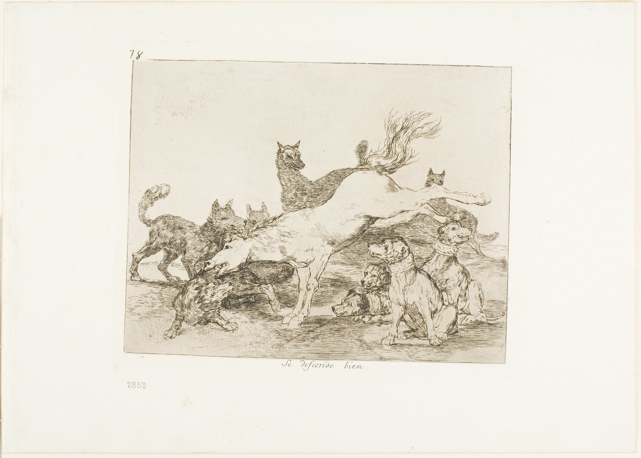 Hän puolustaa itseään hyvin, levy 78 The Disasters of Warista tekijältä Francisco Jose de Goya y Lucientes
