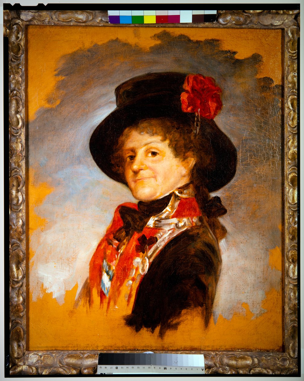 Kuningatar Maria Luisa, noin 1799 (öljy kankaalle). tekijältä Francisco Jose de Goya y Lucientes