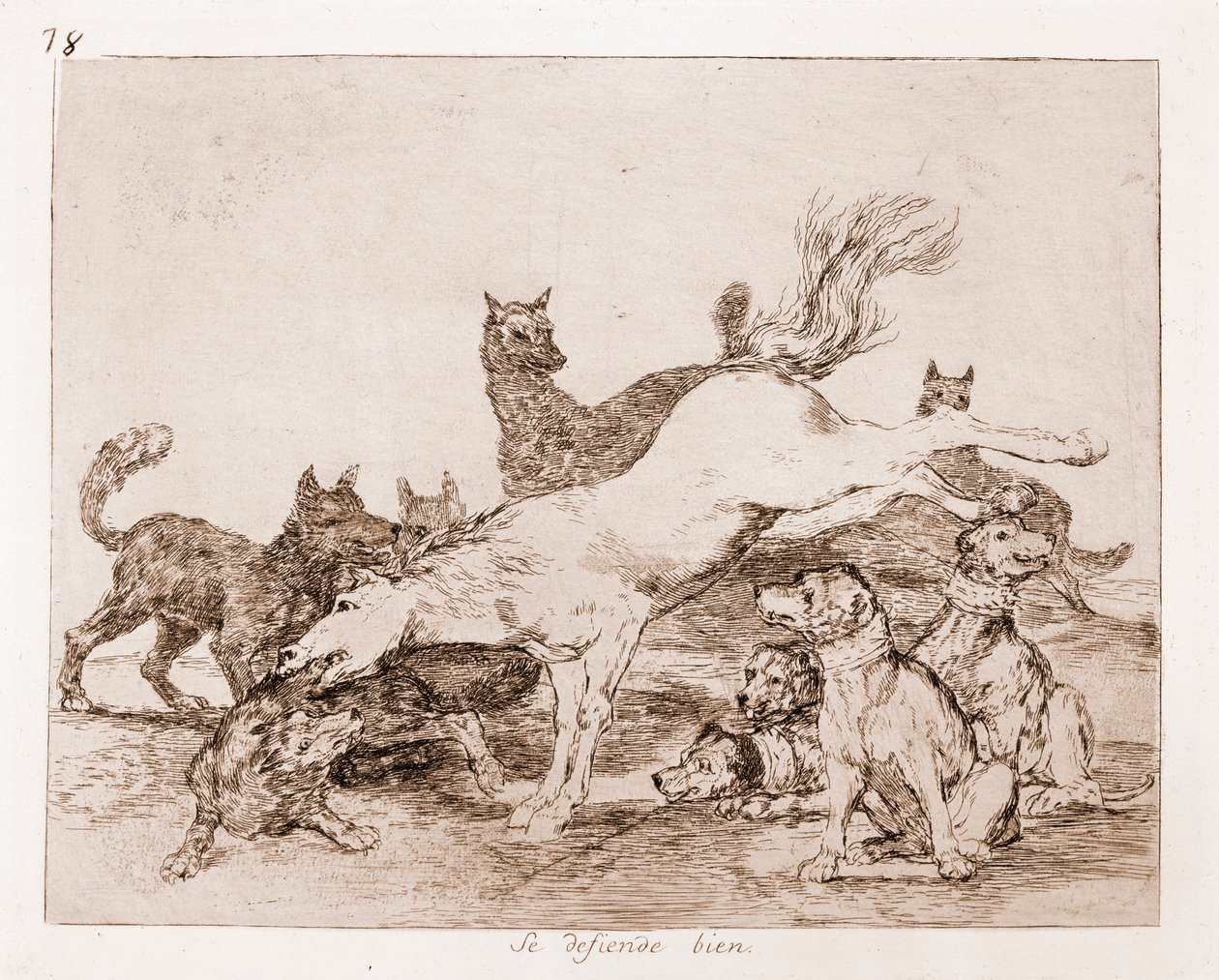 The Disasters of War: Hän puolustaa hyvin (etsaus valmistelupiirroksesta tekijältä Francisco de Goya