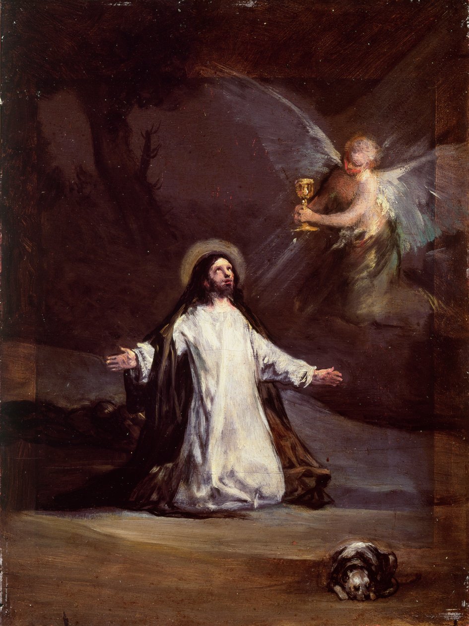 Tuntematon kuva tekijältä Francisco de Goya