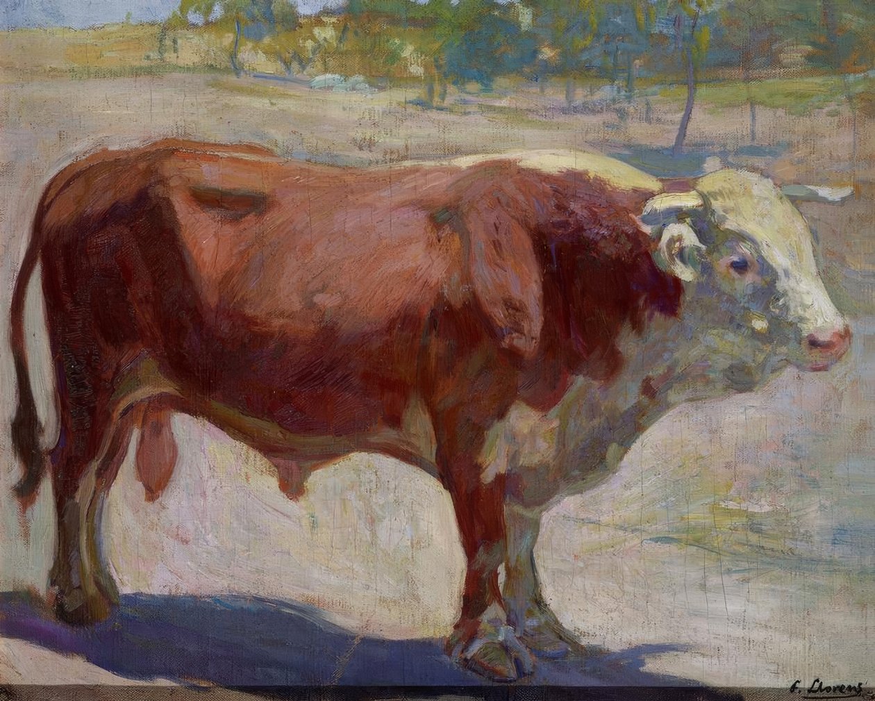 Marelo Bull tekijältä Francisco Llorens Diaz