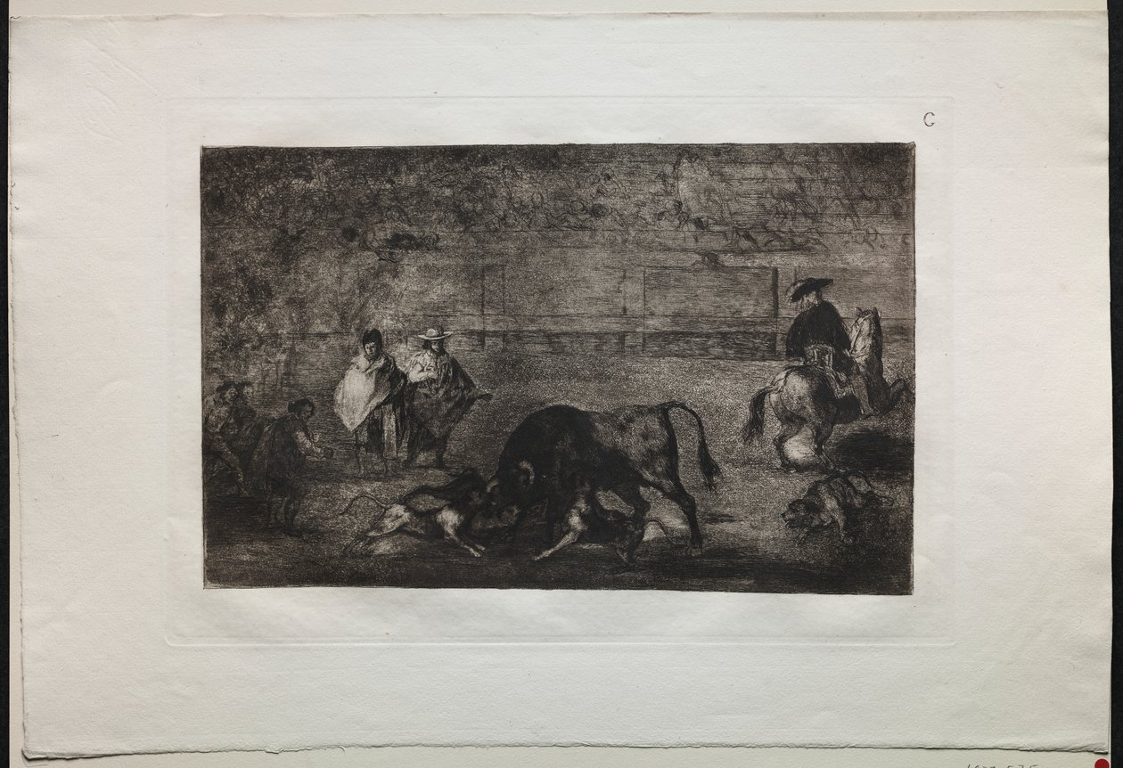 Härkätaistelut: Koira päästää irti härästä tekijältä Francisco de Goya