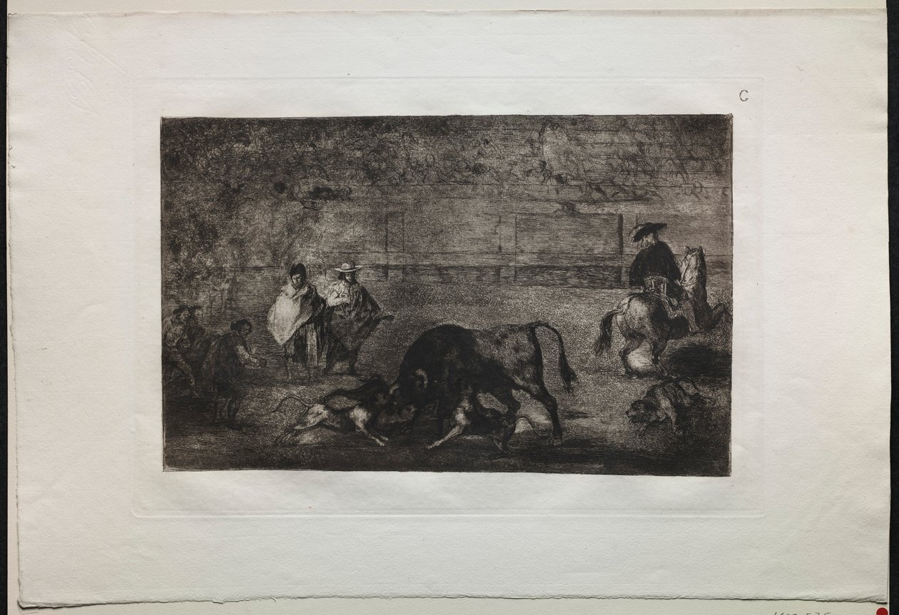 Härkätaistelut: Koira päästää irti härästä, 1876. tekijältä Francisco de Goya