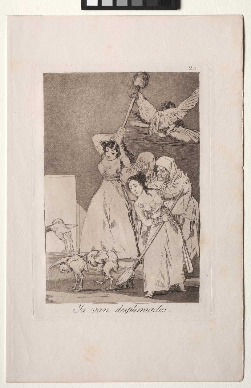 Caprichos: There They Go Plucked (eli fleeced) tekijältä Francisco de Goya