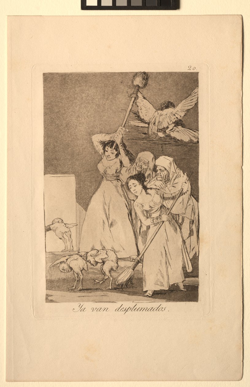 Caprichos: There They Go Plucked eli fleeced. tekijältä Francisco de Goya