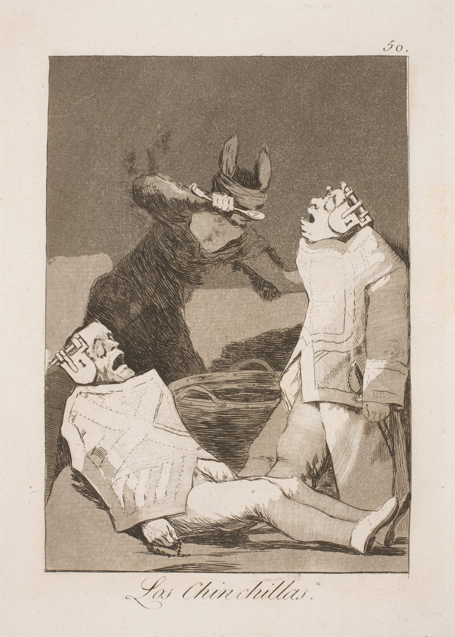 Chinchillarotter tekijältä Francisco de Goya