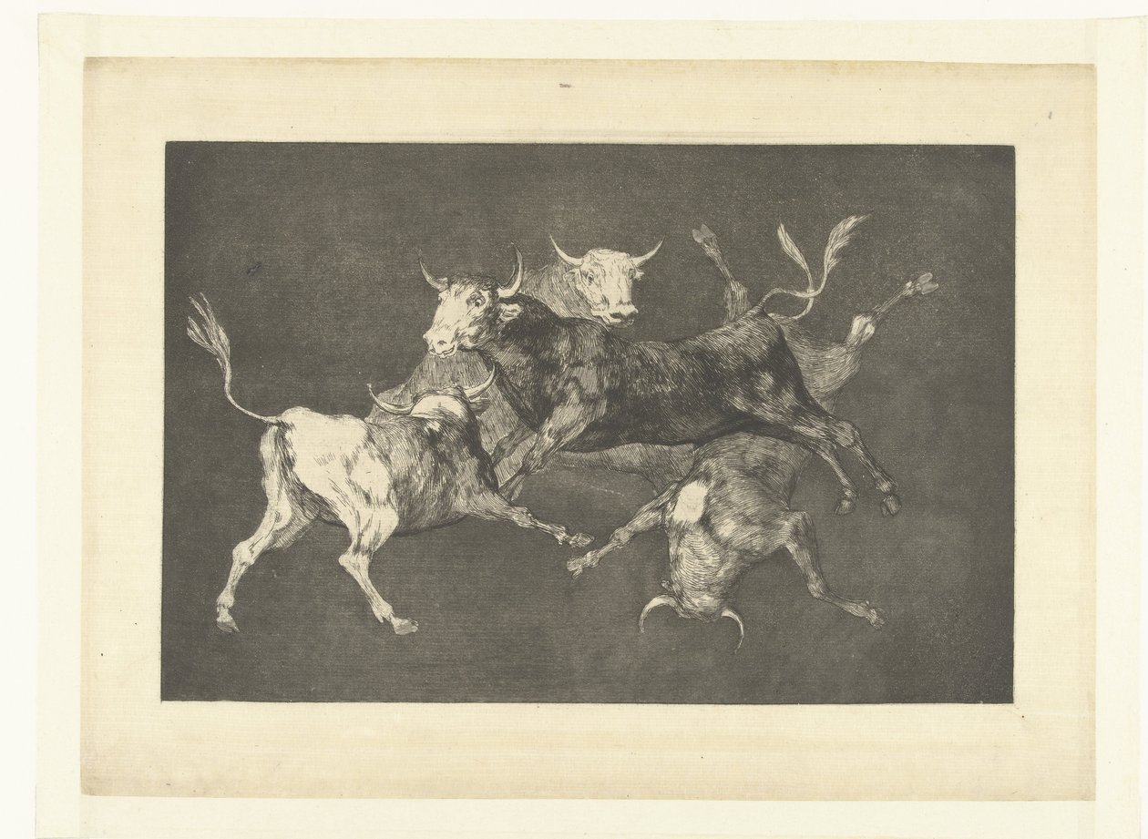 Dwaasheid van de kleine stieren Disparate de tontos Los Disparates (De dwaasheden) (series title) Los Proverbios (De spreekwoorden) (series title) tekijältä Francisco de Goya