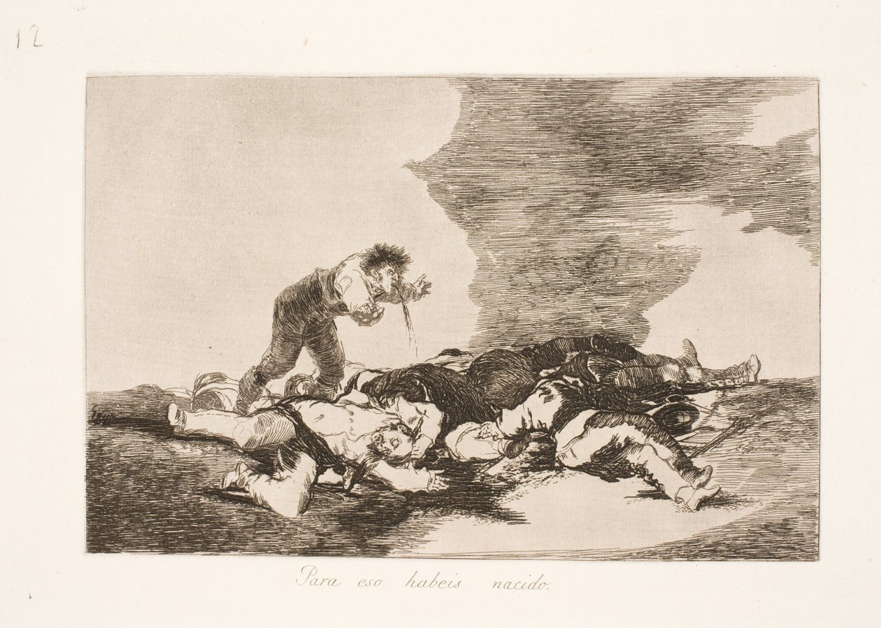 Olemmeko syntyneet tätä varten (12) tekijältä Francisco de Goya
