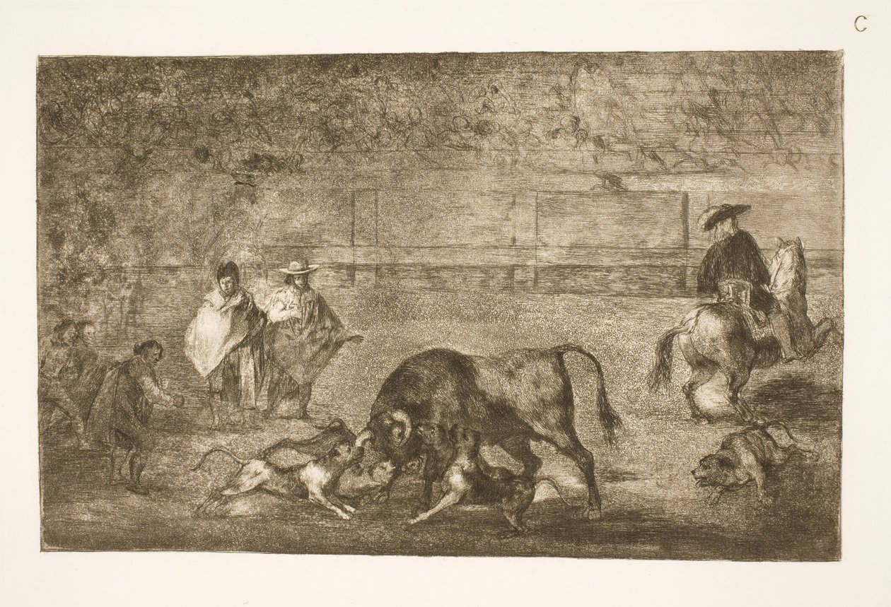 Els gossos estan polits fins al final del toro tekijältä Francisco de Goya