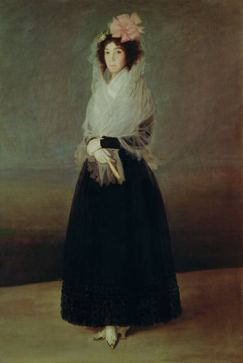 Muotokuva Carpion kreivittärestä (1757-95) Marquesa de la Solana, noin 1793. tekijältä Francisco de Goya