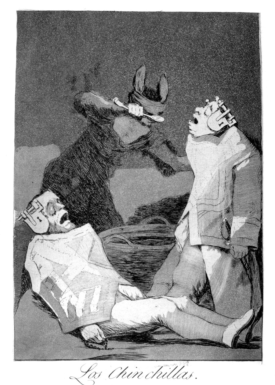 Chinchillat, 1799 tekijältä Francisco de Goya