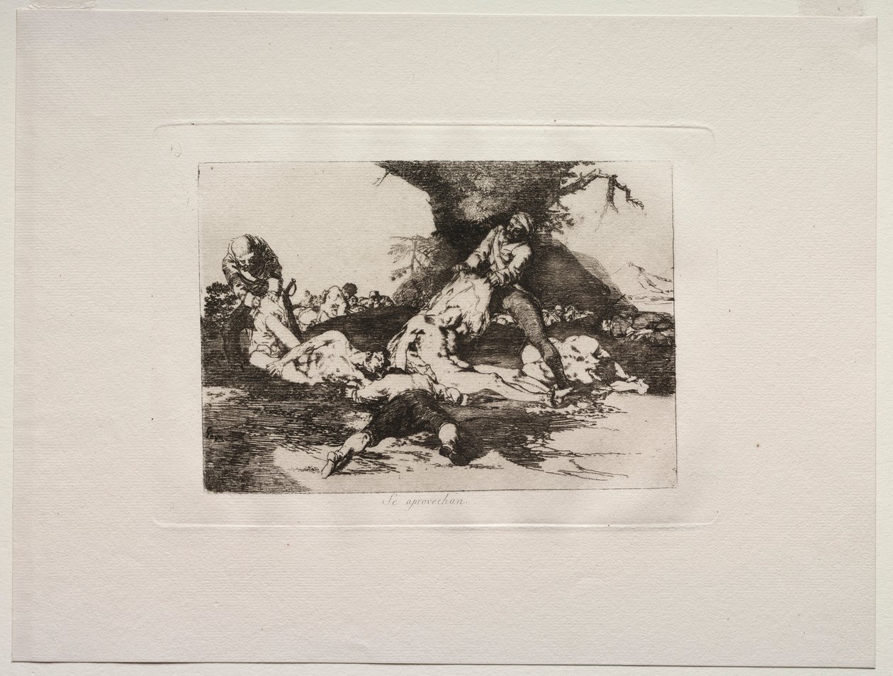 Sodan kauhut: He käyttävät niitä hyväkseen. tekijältä Francisco de Goya