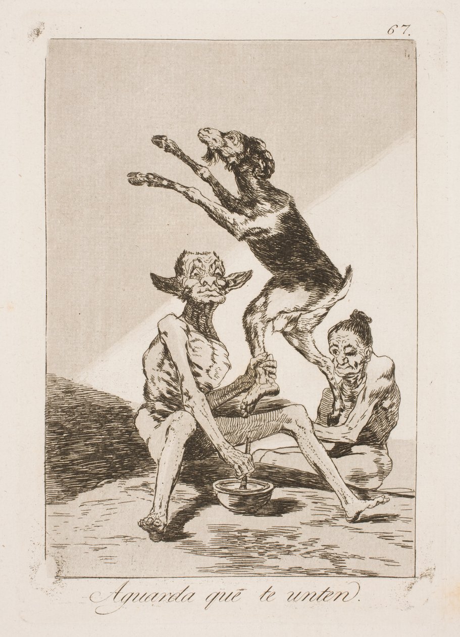 Odota, kunnes se on voideltu tekijältä Francisco de Goya