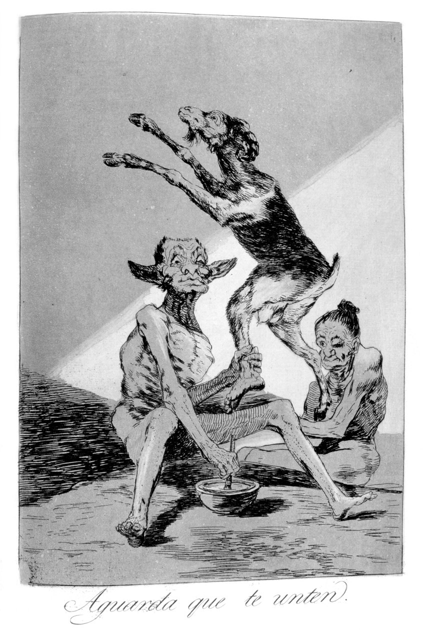 Odota kunnes sinut on voideltu, 1799 tekijältä Francisco de Goya