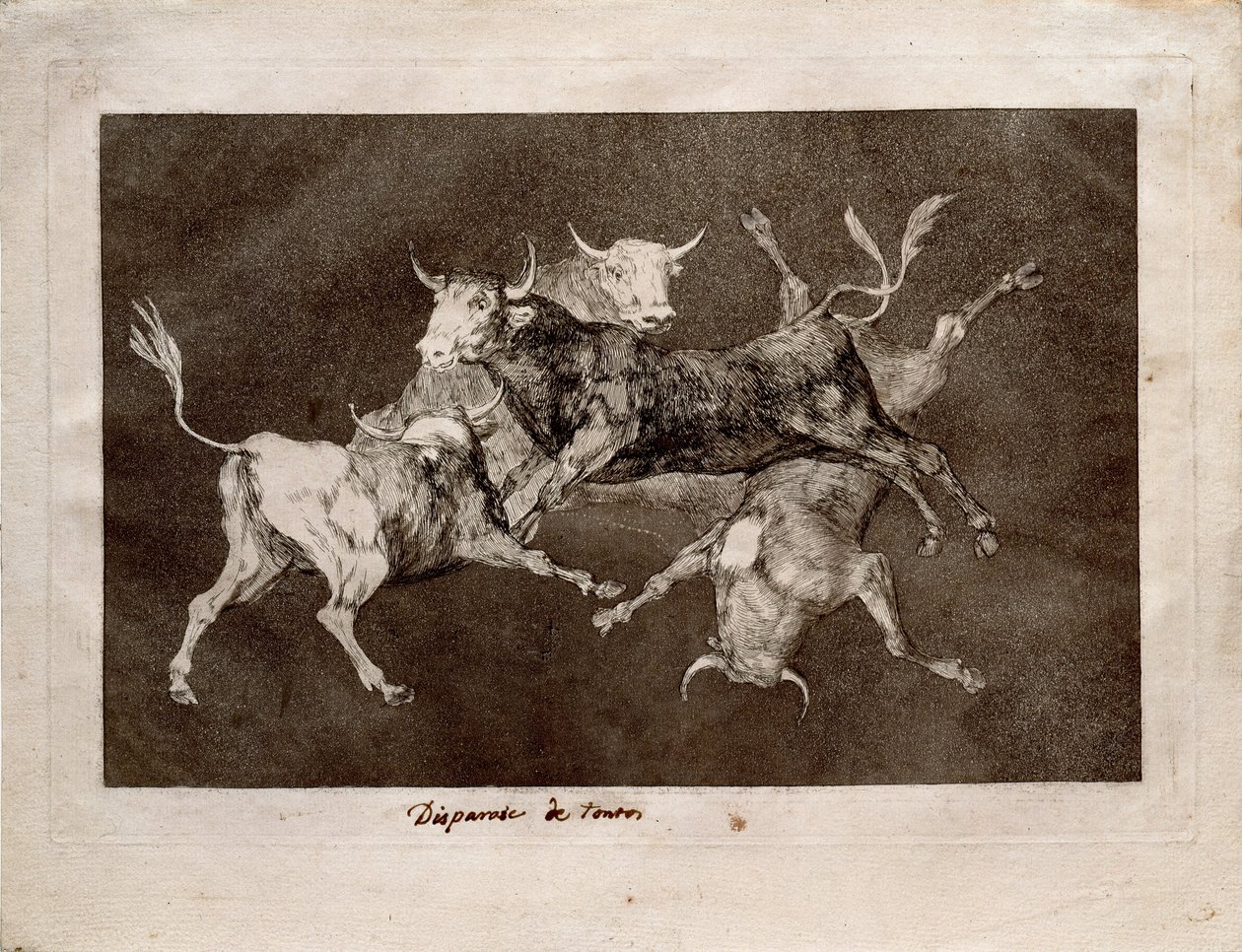 Fool`s Folly tekijältä Francisco de Goya