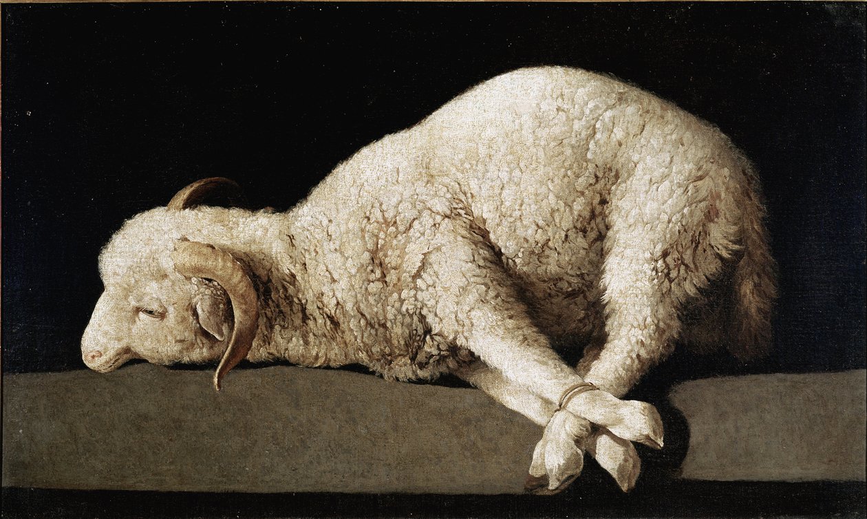 Agnus Dei tekijältä Francisco de Zurbaran