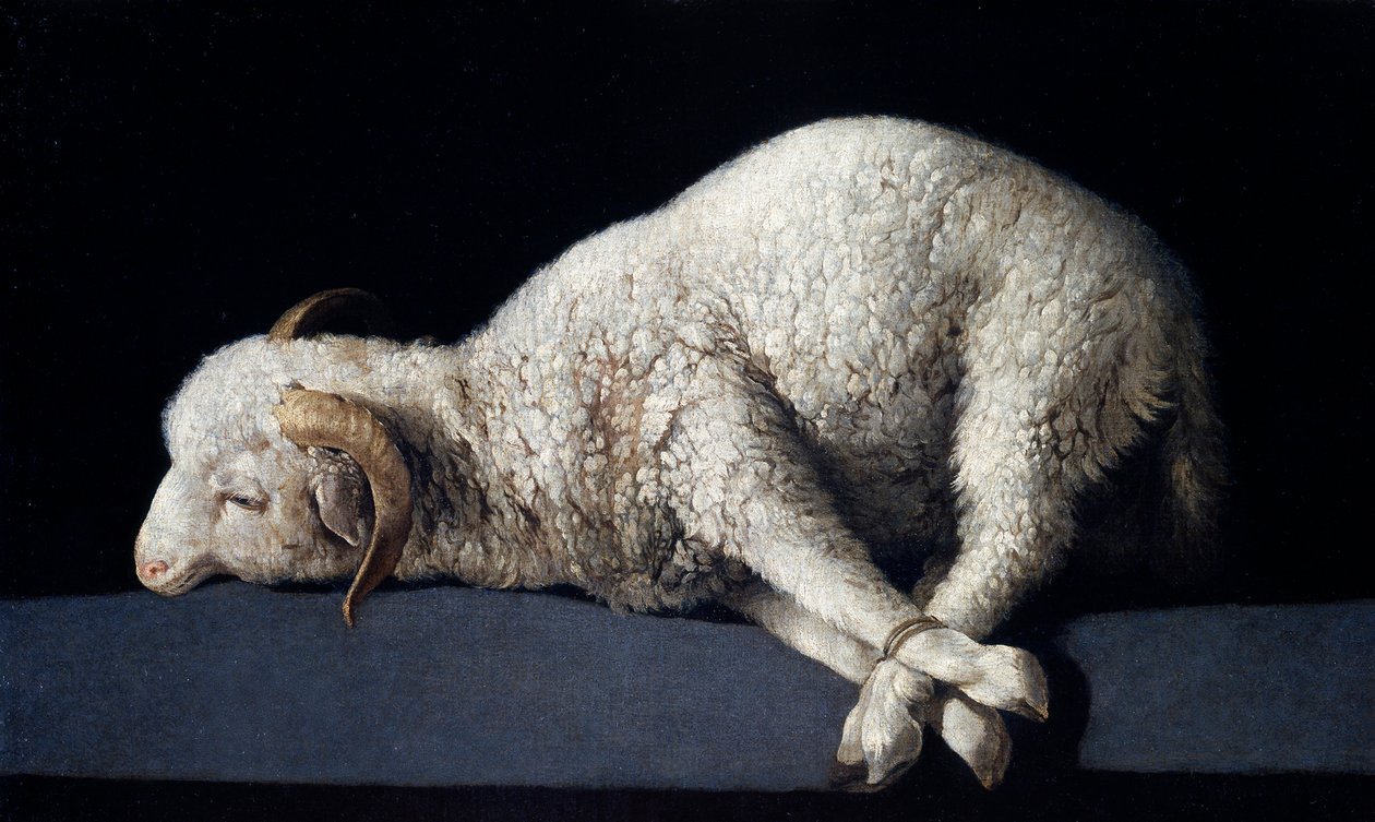 Agnus Dei tekijältä Francisco de Zurbaran