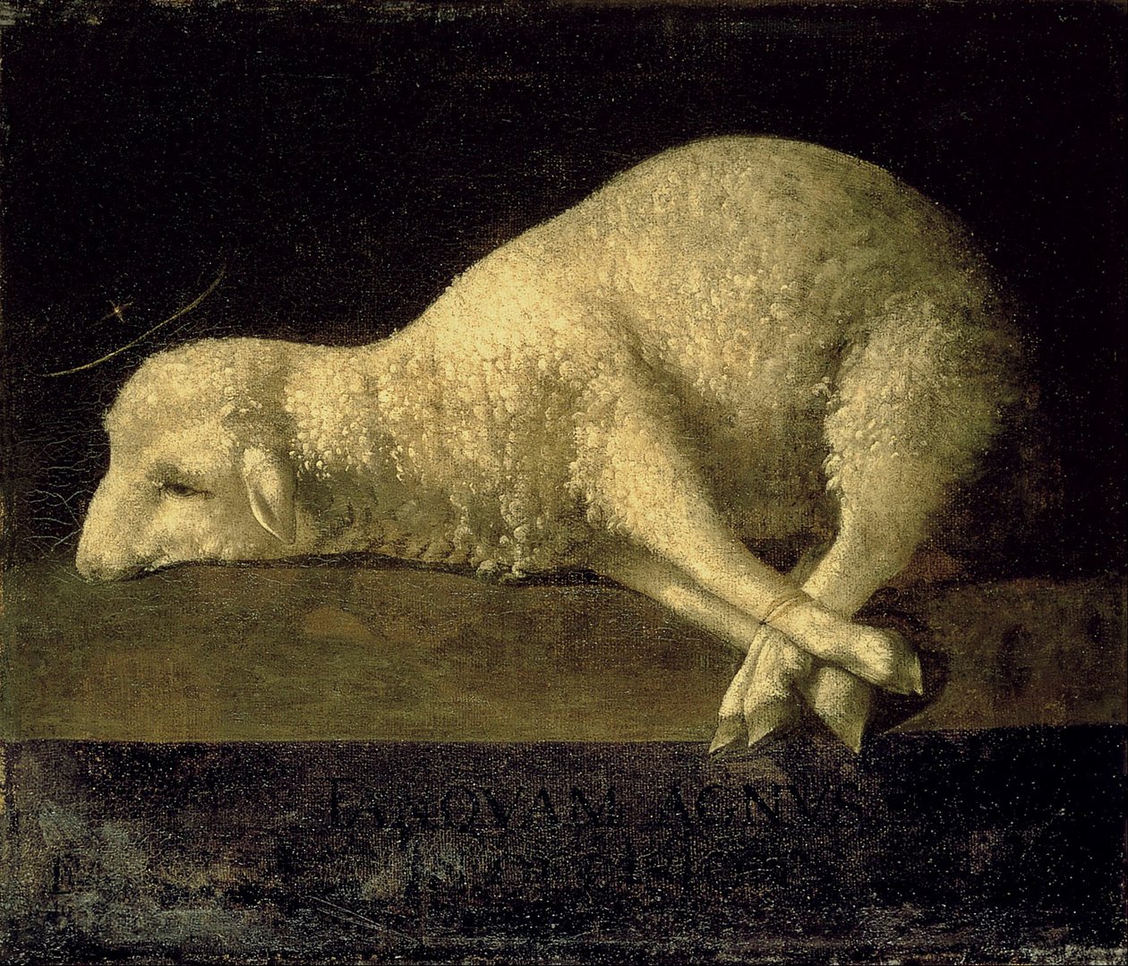 Agnus Dei tekijältä Francisco de Zurbaran