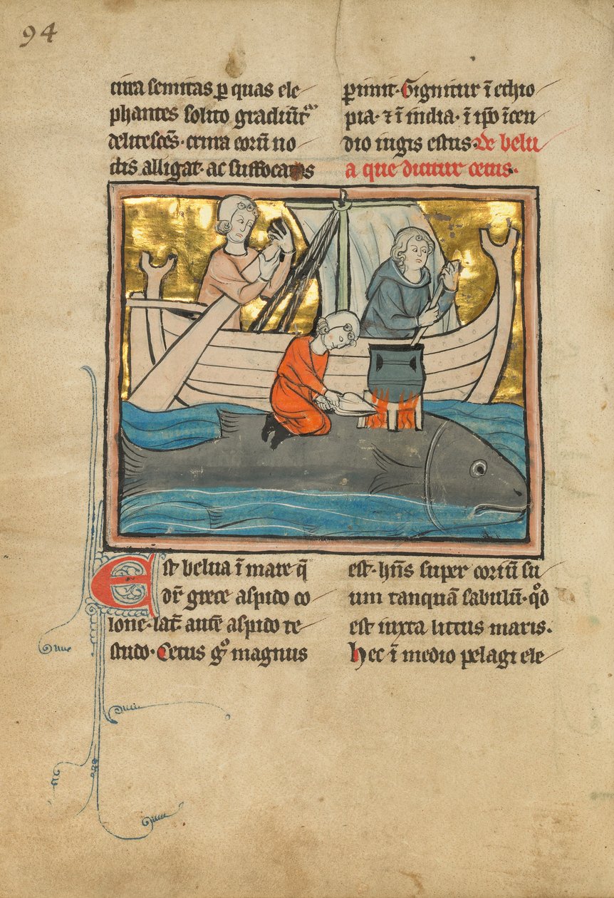 Kalastaja valaan selässä, 1277 tai sen jälkeen tekijältä Franco Flemish School