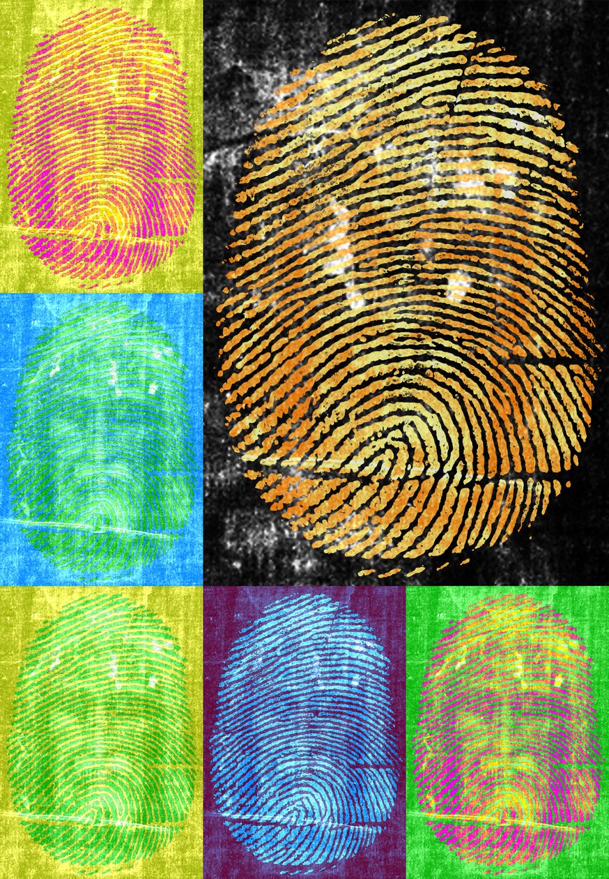 Roots und Thorns, 2014, (digitaalinen) tekijältä Francois Domain