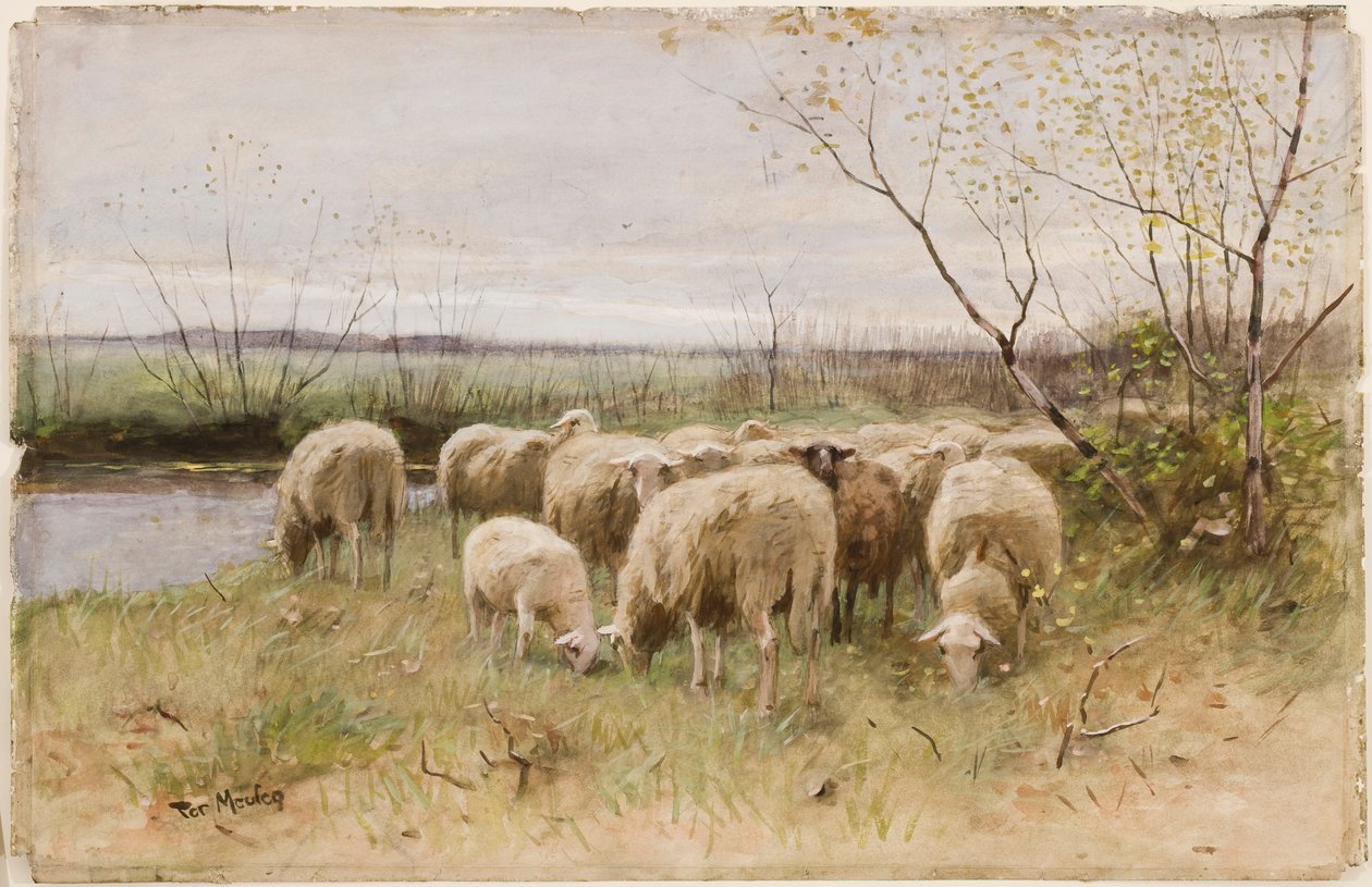 lampaat tekijältä Francois Pieter ter Meulen