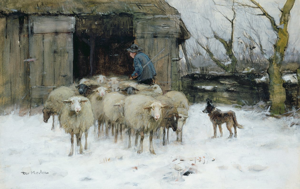 Lampaat talviaamuna tekijältä Francois Pieter ter Meulen