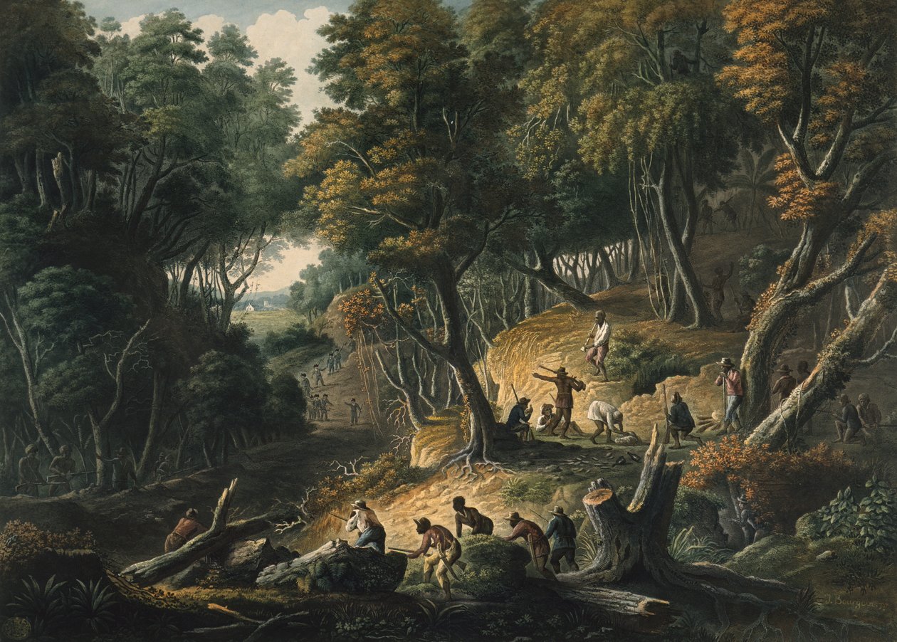 Maroonit väijytyksessä Dromily Estatessa Trelawneyn seurakunnassa Jamaikalla, pubi. 1801 tekijältä Francois Joseph Bourgoin